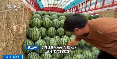 烟烟吃瓜,揭秘娱乐圈那些不为人知的幕后故事