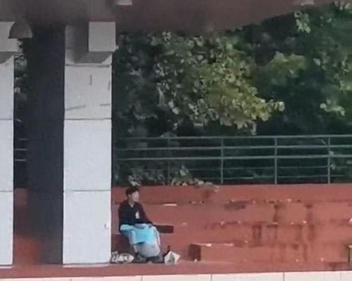 中牟吃瓜事件视频,一场网络狂欢背后的真相与反思