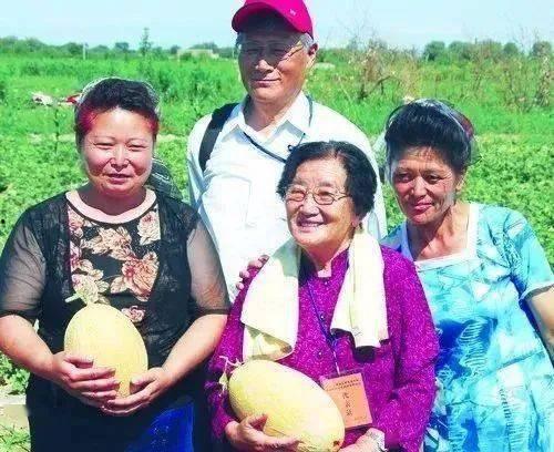 中国好同事吃瓜