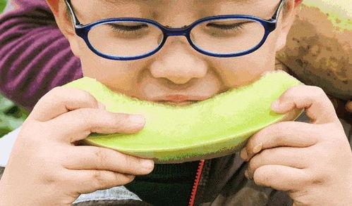 吃瓜小专家