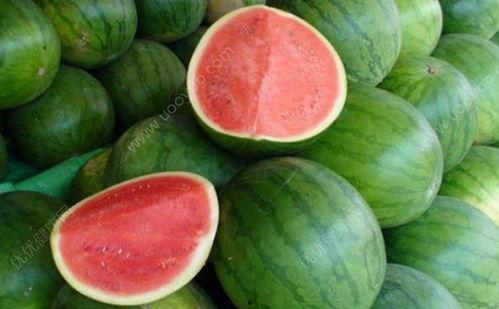 小孩发烧吃籽瓜,天然食疗新选择