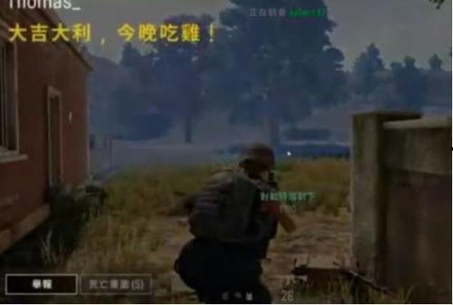 吃鸡撒瓜,趣味横生的欢乐盛宴