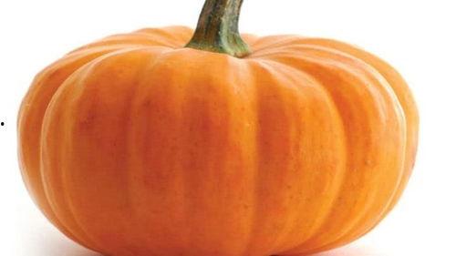 秋天怎么吃瓜才好,秋季吃瓜的五大妙招