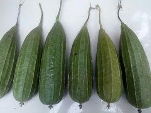 谁知道吃瓜,揭秘“吃瓜群众”背后的网络文化现象