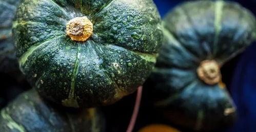 哪些瓜值得吃,盘点值得品尝的时令瓜果