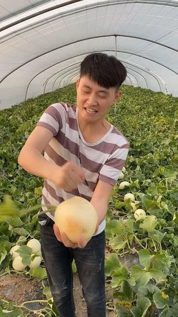 徒手劈瓜怎么吃,徒手劈瓜的趣味与美味探索