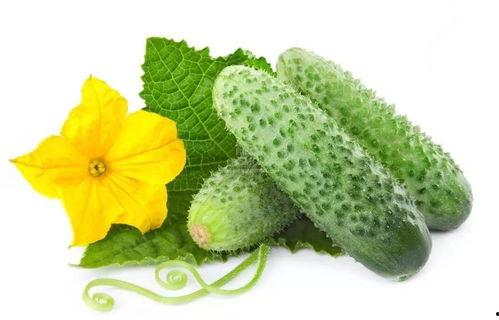 吃瓜系统秦筝,揭秘吃瓜系统背后的神秘力量