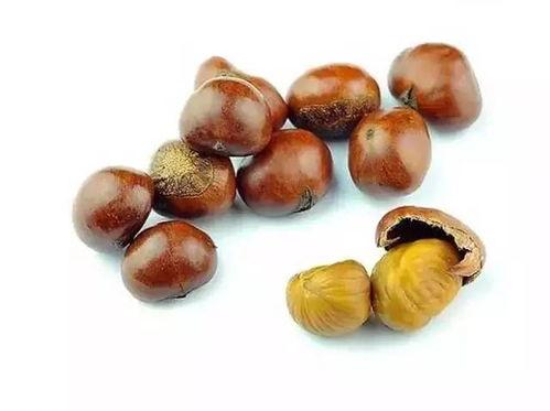 吃板栗可以吃茭瓜吗