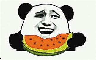 吃向日葵照片吃瓜群众,吃瓜群众纷纷围观