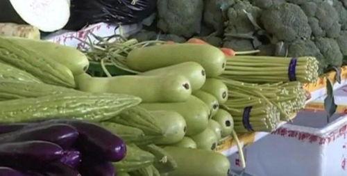 吃瓜苦不苦,揭秘瓜果的甜蜜与苦涩之谜