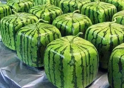 吃瓜17年,揭秘娱乐圈那些不为人知的幕后故事