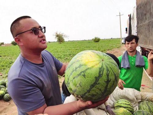 吃瓜现场超炸裂,超炸裂瞬间，揭秘娱乐圈风云变幻