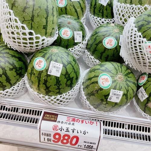 长春一中吃瓜,吃瓜群众揭秘校园热点事件